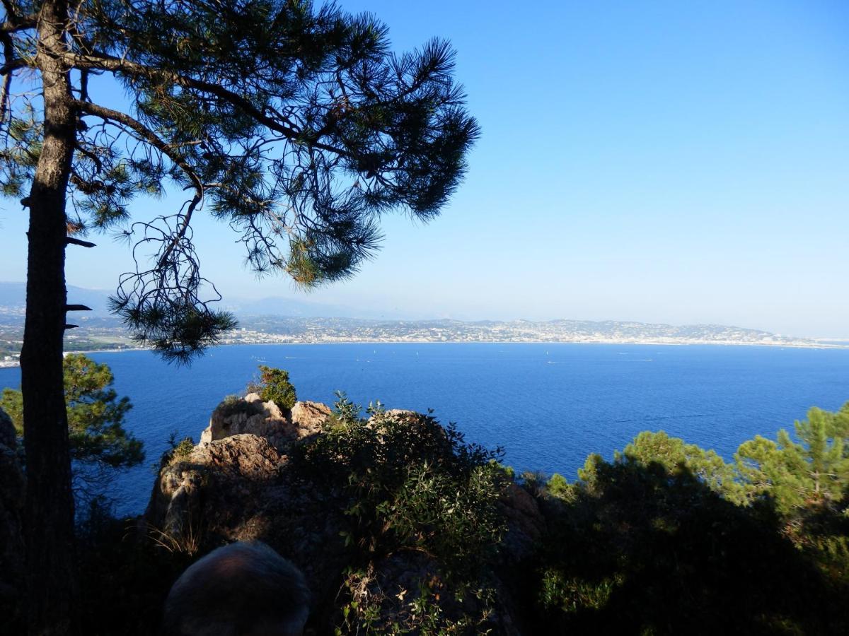 Esterel Terrasses, Roof Top, Plage, Parking Payant Канны Экстерьер фото