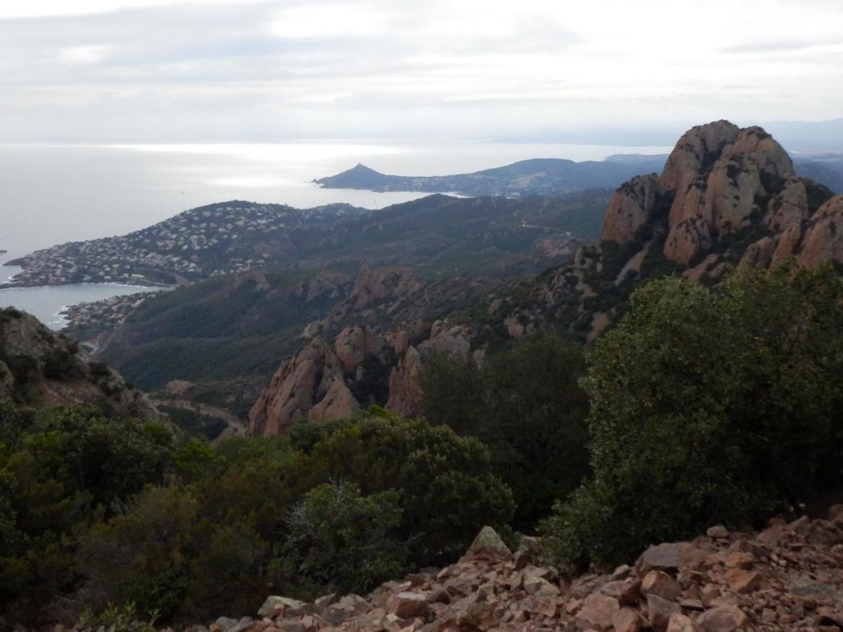 Esterel Terrasses, Roof Top, Plage, Parking Payant Канны Экстерьер фото